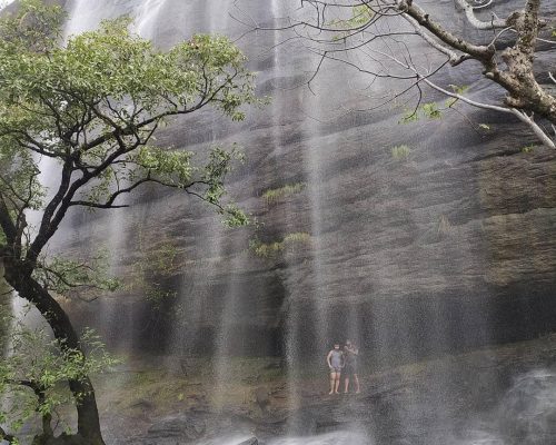 61d69ec4-12a0-4fb1-a218-bea62f47a901